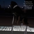 thumbnail image 4 of Country Brook Petz® Electric Leopard Reflective Martingale Dog Collar, Small, 4 of 7