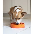 thumbnail image 2 of Outward Hound Slow Fun Feeder Bowl, Slow Feeder Dog Bowl, Orange, Medium/Small, 2 of 2