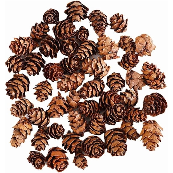 40Pcs 2.5cm Christmas Pine Cones Small Natural Pine Cones Winter Pinecone Ornaments Mini Rustic Pinecones Xmas Tree Pinecones for Home Decor
