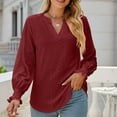 thumbnail image 6 of Besolor Womens Trendy Fall Blouses V Neck Ruffle Long Sleeve Eyelet Shirts Casual Loose Fit Ladies Going out Tops, 6 of 8