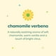 thumbnail image 3 of Shampoo Babyganics Espuma para Cuerpo Manzanilla 473ml, 3 of 9
