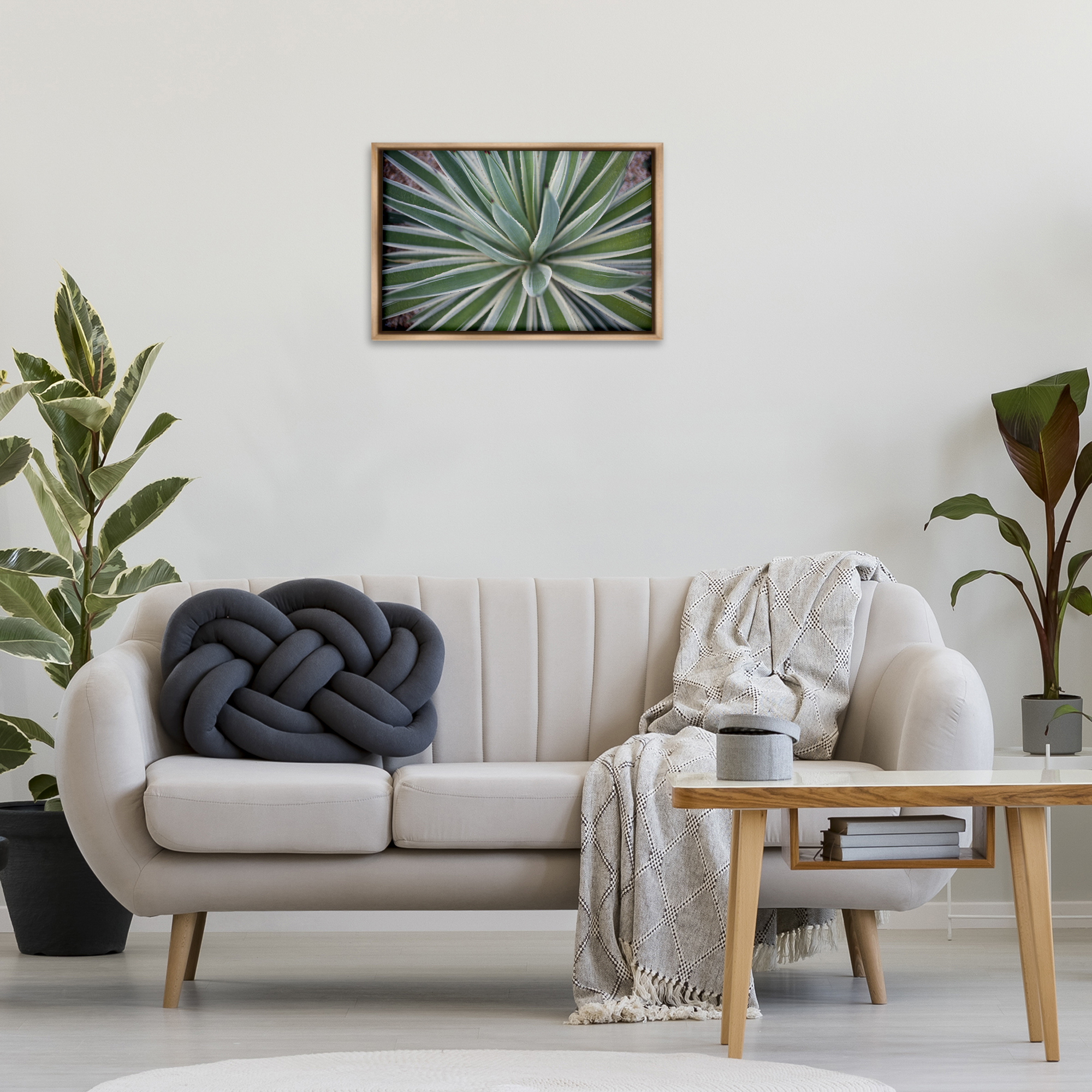 Stupell Industries Centric Succulent Leaves Botanical & Floral Photography Brown Floater Framed Canvas Art Print Wall Art, 25 x 17