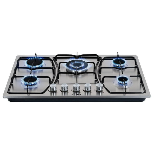 Estufa De Panel 5 Hornillas De Lujo Para Gas De 76*50Cm Plata