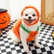 thumbnail image 2 of Chaqueta para Disfraces Poliéster Halloween Pequeños Medianos Gatos Y Cachorros, 2 of 9