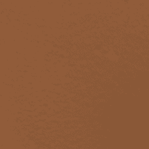 355 COCONUT