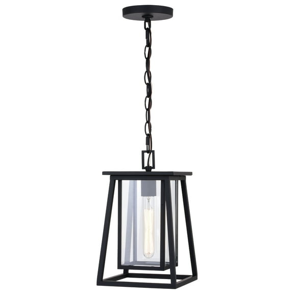 Outdoor Pendant LanternBlack Cage FrameClear Glass 1 LightTimeless Tradition Style