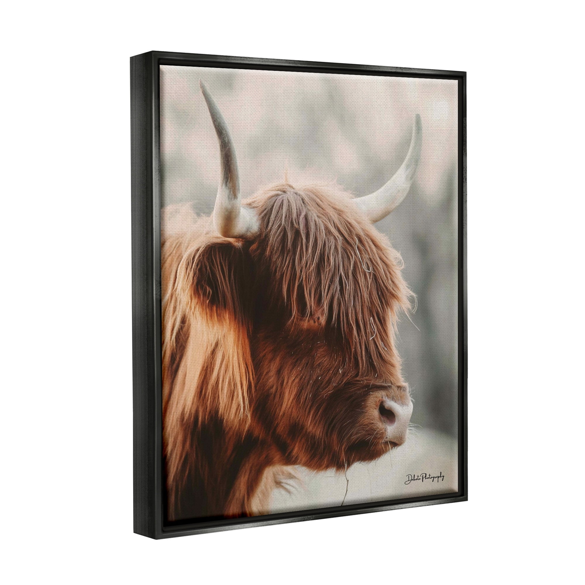 Stupell Industries Calm Highland Cow Cattle Portrait Horns Photography Photograph Metallic Gold Floating Framed Canvas Print Wall Art, Design by Dakota Diener