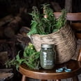 thumbnail image 4 of Semillas de ortiga, 250 g, naturales de primera calidad (Urtica dioica), 4 of 9
