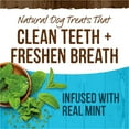 thumbnail image 6 of Merrick Fresh Kisses Extra Small Dog Treats, Real Mint Flavor Dental Chews, 10 oz Pouch (33 Count), 6 of 10