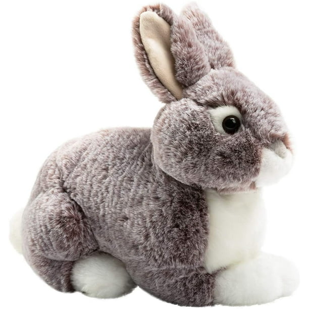 9+ Light Brown Bunny