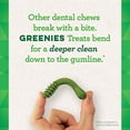 thumbnail image 1 of GREENIES Original Ado Naturel Niche pour Chien, 1 of 4