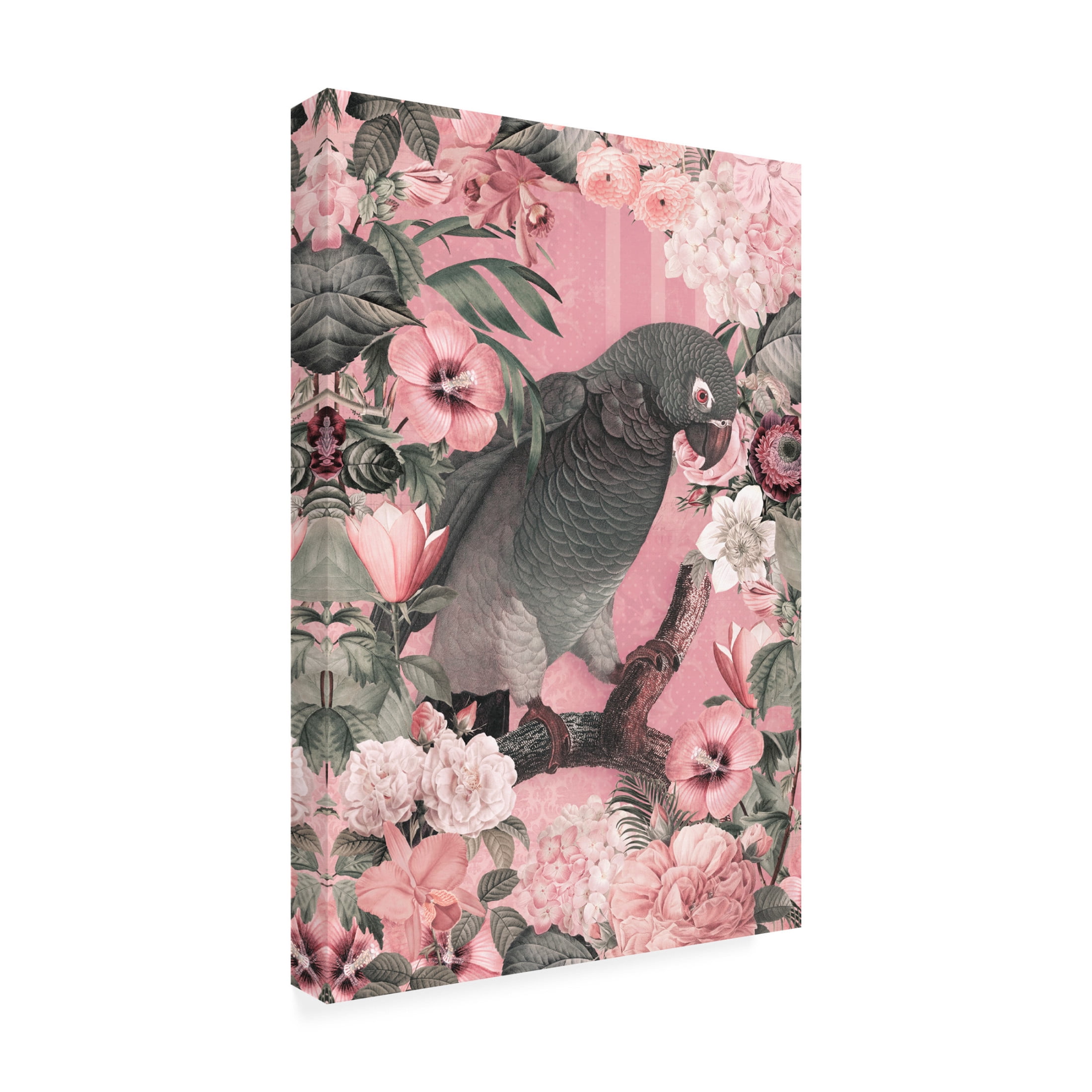 Trademark Fine Art Andrea Haase The Parrots Paradise Garden 3 Pastel Pink Canvas Wall Art