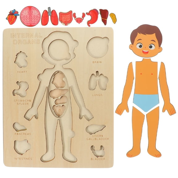 Human Body Structure Puzzle Parent-child Game Toy Anatomy