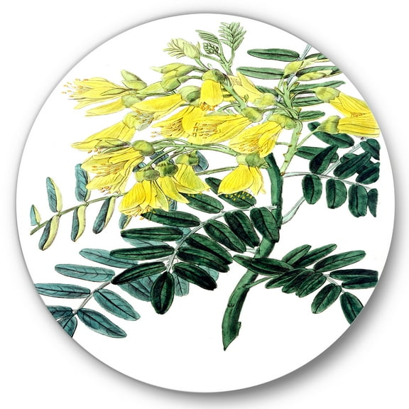 Designart 'Ancient Yellow Flower II' Traditional Circle Metal Wall Art 36x36 - Disc of 36
