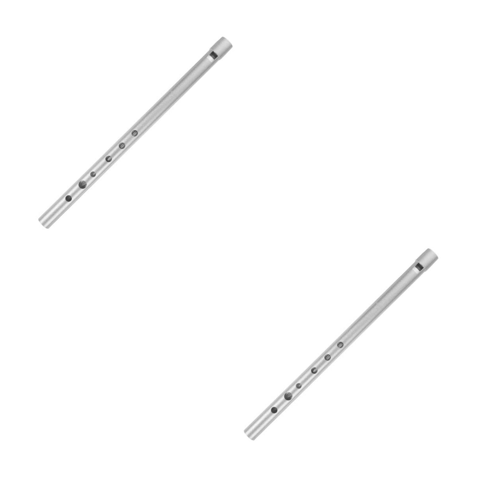 MLINS 2 pcs  Aluminium Alloy Clarinet Portable Recorder for Children Beginners (Silver)