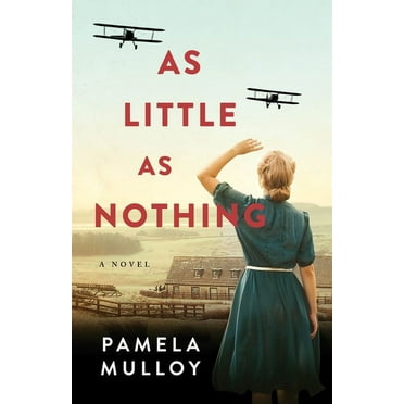 As Little As Nothing : A Novel (Paperback)