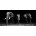 thumbnail image 2 of Wildphotoart 18x10 White Modern Wood Framed Museum Art Print Titled - Out Of The Darkness, 2 of 4