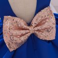 thumbnail image 4 of Zwiiyzr Toddler Girls Net Yarn Embroidery Rhinestone Bowknot Birthday Party Gown Long Dresses Headband Suit Baby Clothes Blue 4-5 Years, 4 of 8