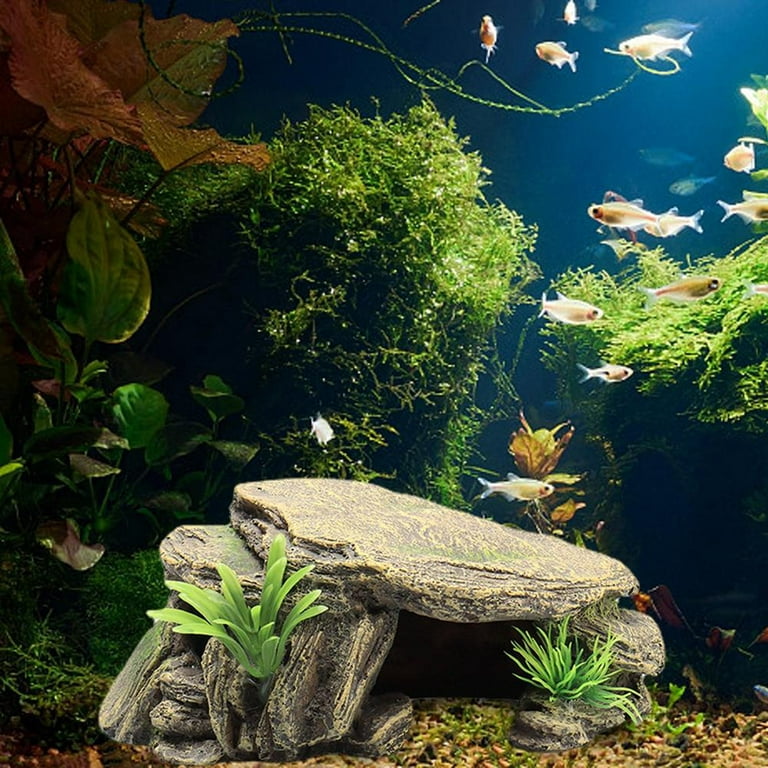 7 Cool Terrarium and Aquarium Decor Ideas From Walmart