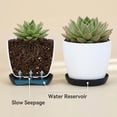 thumbnail image 4 of Liamobondopolis 3.3" White Self-Watering Planter with Black Saucer, Mini Automatic Pot for Succulents & Indoor Desk Plants, 4 of 6