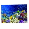 thumbnail image 1 of Cartel de fondo 3D Salvador Decoración de Acuario Vinilo 61x30cm, 1 of 10