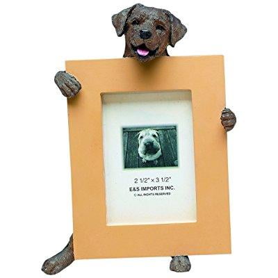 Chocolate Lab Picture Frame Holds Your Favorite 2 5 By 3 5 Inch Photo Hand Painted Realistic Looking Chocolate Lab Stands 6 Inches Tall Holding Beautifully Crafted Frame Unique And Special Chocolate Walmart Com Walmart Com