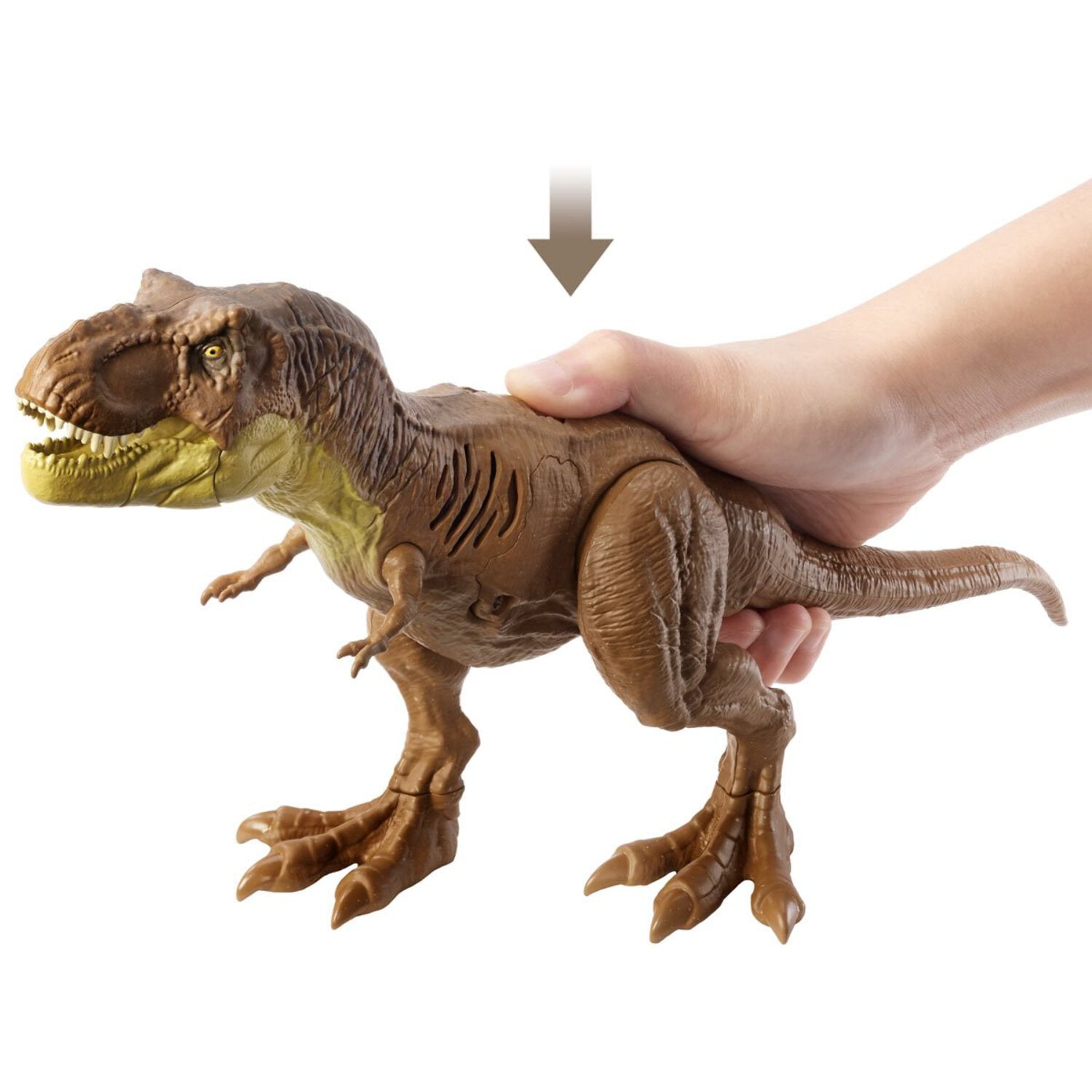 Mattel Jurassic World Collectible Kids Tyrannosaurus Rex Action Figures, Plastic Multicolor, 12"