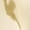 Gold, variant on Women's Open Toe Strappy Ankle Strap Back Zip Stiletto Heel Sandals Gold 10