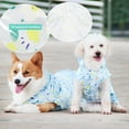 thumbnail image 4 of Dog Raincoat Waterproof Lightweight Mesh Lining with Hood Pet Jacket, 4 of 6