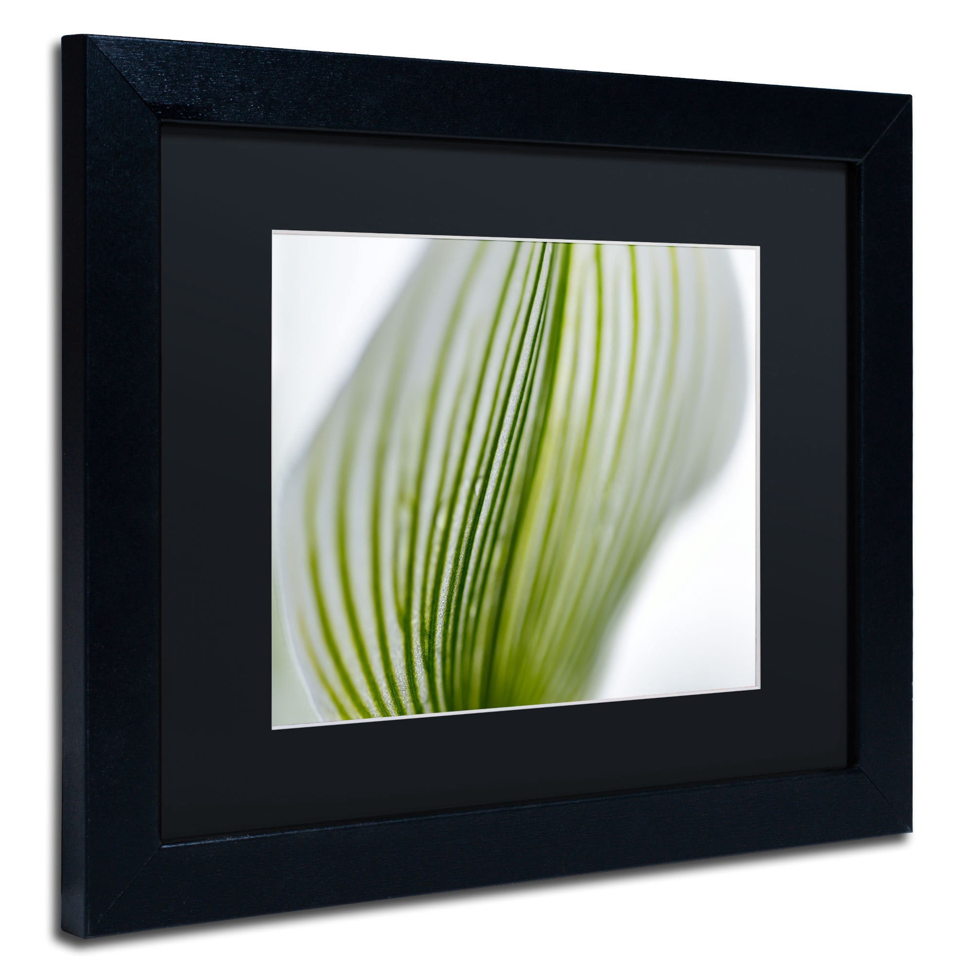 Trademark Fine Art "Orchid Abstract Blurred Lines" Canvas Art by Kurt Shaffer, Black Matte, Black Frame