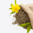 thumbnail image 2 of Herb To Body Damiana Leaf Powder | Turnera Diffussa | Wildcrafted | 4oz, 2 of 5