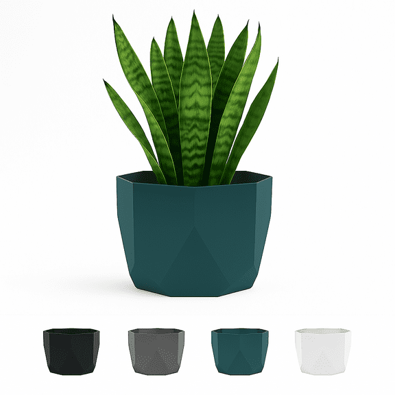 Bloem Tuxton 6" Round Hexagon Charleston Resin Planter Pot with Optional Knock-Out Drainage Holes, Made in USA