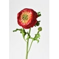 thumbnail image 5 of 13" Faux Red Ranunculus Stem, 5 of 5