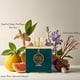 thumbnail image 3 of Perfume Armaf Dubai Nights Umbra & Dubai Night Midnight, 100 ml, 3 of 7
