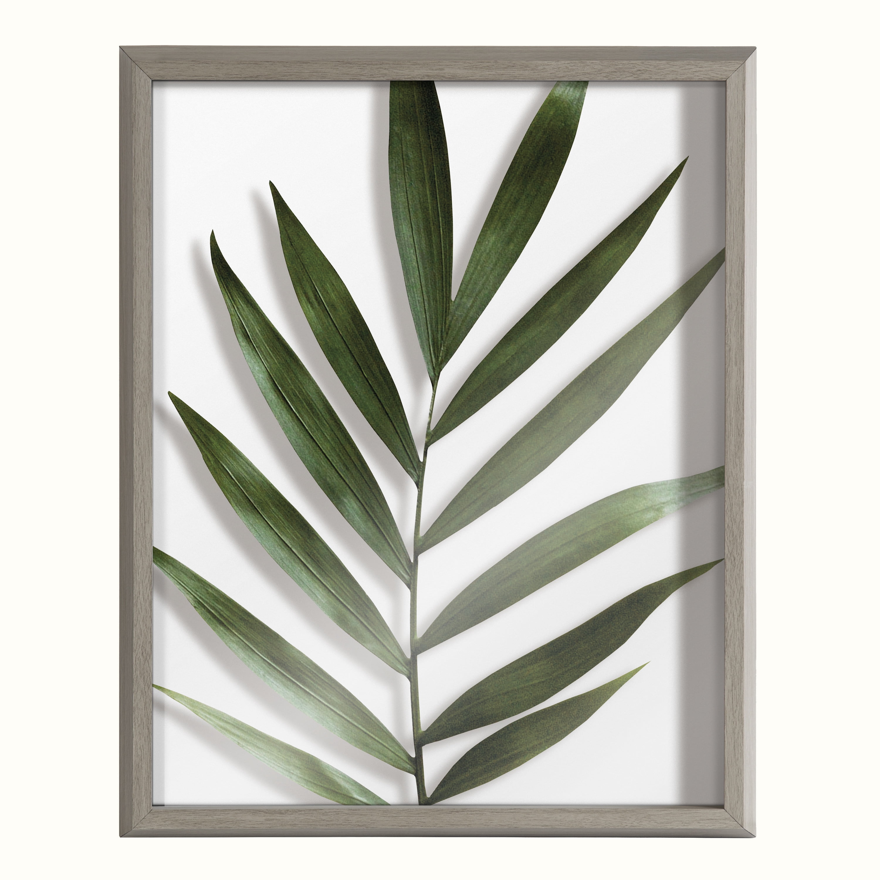 Blake Botanical 5F 16 in x 20 in Framed Photography Art Prints, by Kate and Laurel