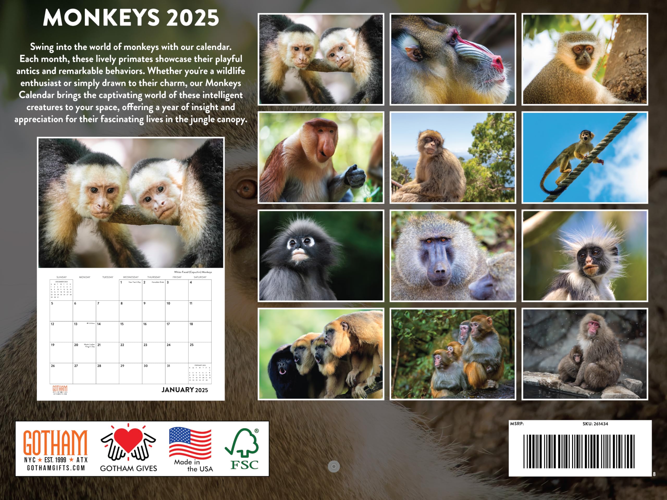 Monkey Calendar 2025 Monthly Wall Calender 12 Month