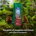 thumbnail image 4 of Limited Edition Irish Spring Redwood Moisturizing Body Wash for Men, 24-hour Fresh, Face and Body Wash, Men’s Body Wash, Paraben Free, Evergreen Forest Scent, 20 fl oz Bottle, 4 of 12