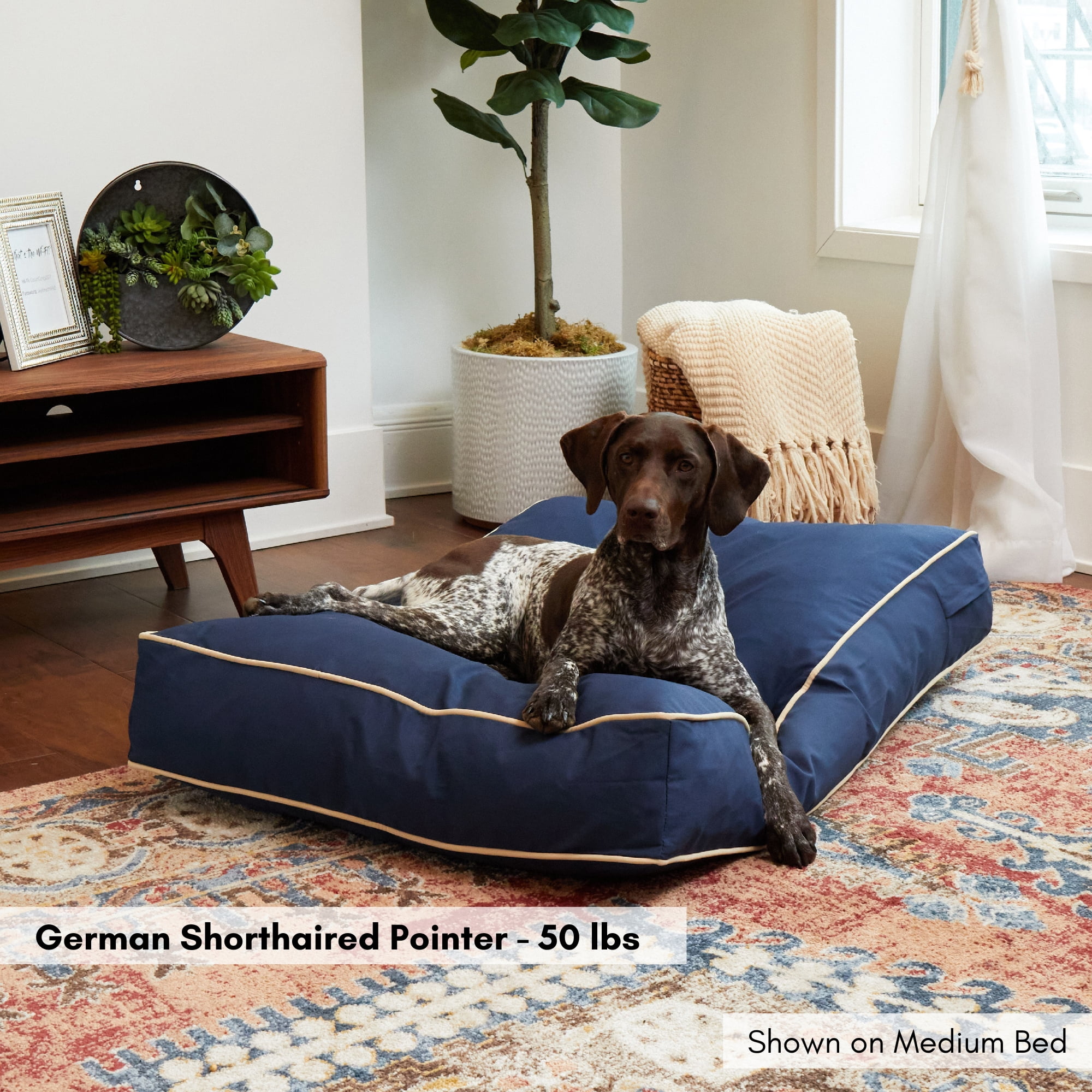 Happy Hounds Casey Indoor/Outdoor Pillow Style Dog Bed, Navy, Medium (42 x 30 in.)