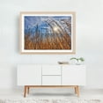 thumbnail image 5 of Wetland Cattails - Photography Nature Landscape Autumn Scenic Rural Minimalist Wilderness Oak Framed Wall Art Print 12 x 18 inches, 5 of 6