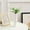 White, variant on TERGAYEE Flower Vase,Minimalism Style for Modern Table Shelf Home Decor,Small Vase for Home Living Room Dining Table Farmhouse Office Decor