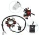 thumbnail image 3 of 5 Cables 6 Polo CC Motocicleta Magneto Estator para 125 cc GY6 - 1  Uds, 3 of 6
