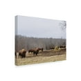 thumbnail image 2 of Trademark Fine Art 'Farm Study VI' Canvas Art by Adam Mead, 2 of 4