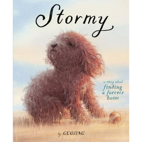 Stormy: A Story about Finding a Forever Home (Hardcover)