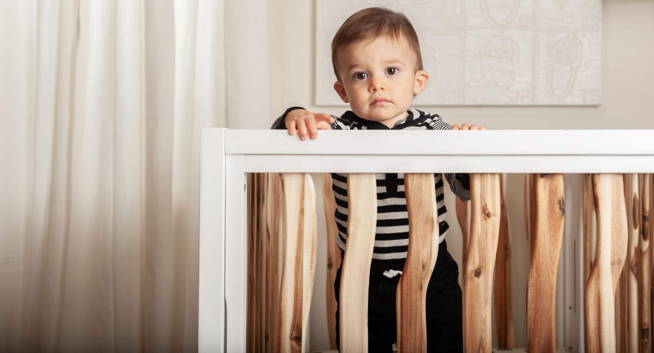Milk Street Baby Branch Convertible Crib