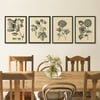 My Texas House - Vintage Besler Framed Canvas Wall Art Set - 12x16