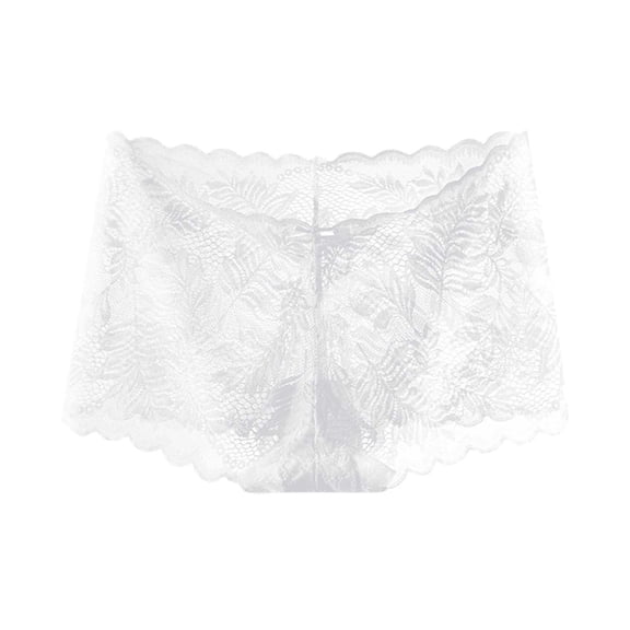 Posijego Women's Lace Underwear Hollow out Breathable Elastic High Waist Seamless Hipster Briefs for Women