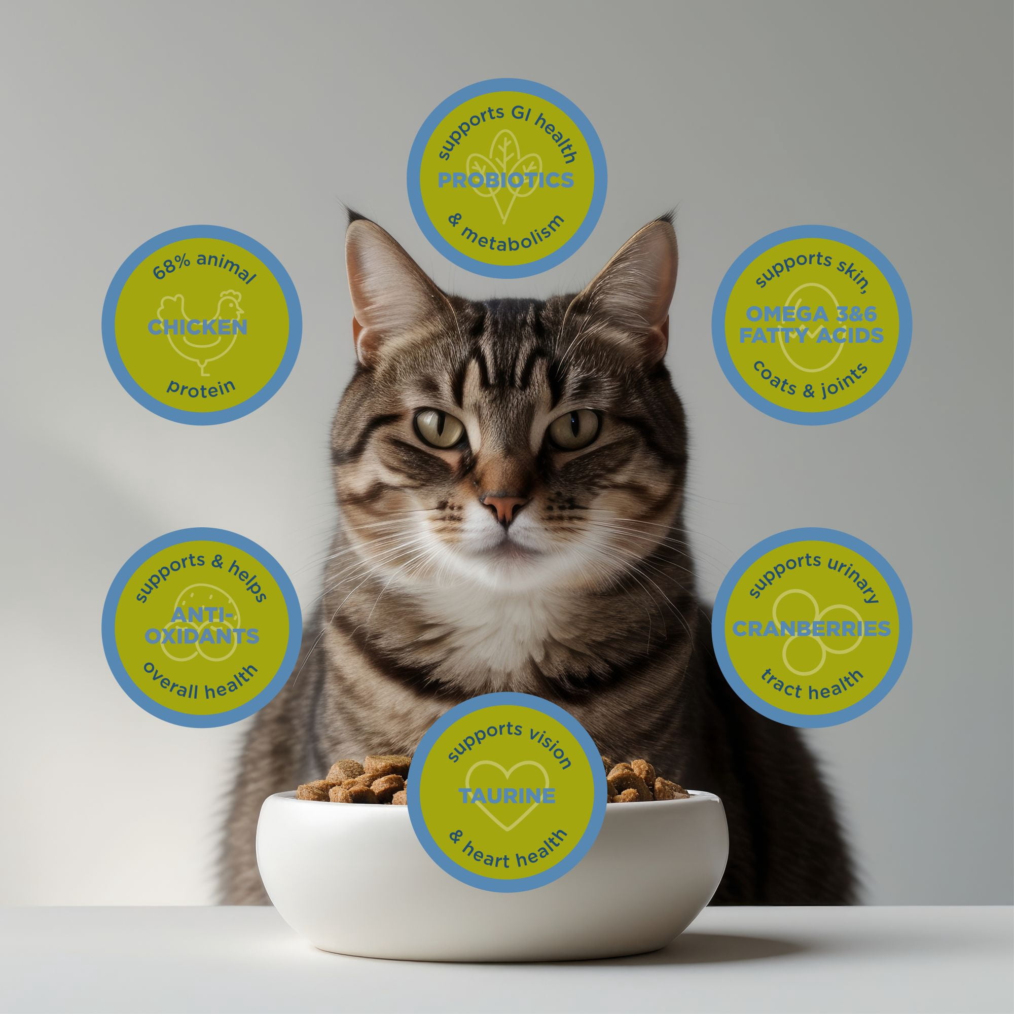 Blackwood Lean & Senior Chicken Meal & Brown Rice Recipe Dry Cat Food for Senior Cats, 13.2 lb. Bag