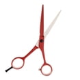 thumbnail image 1 of Xuanheng 6.0 "Professionnel, 1 of 8
