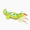 thumbnail image 1 of Jouet Catit Groovy, gecko, 1 of 8