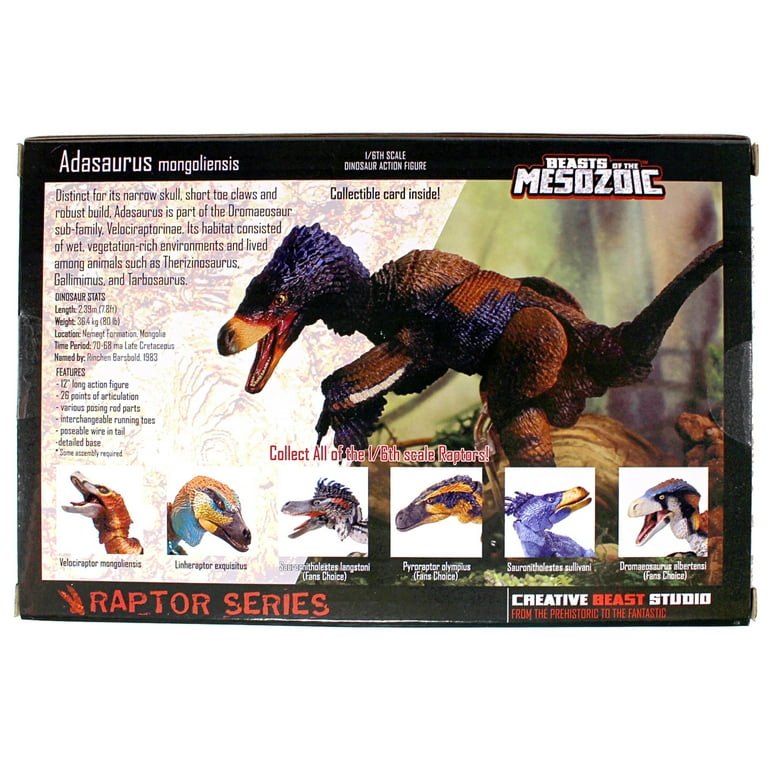 Beasts of the Mesozoic: Adasaurus Mongoliensis (Version 2